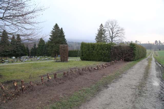 Arbeitseinsatz auf dem Friedhof in Coppengrave