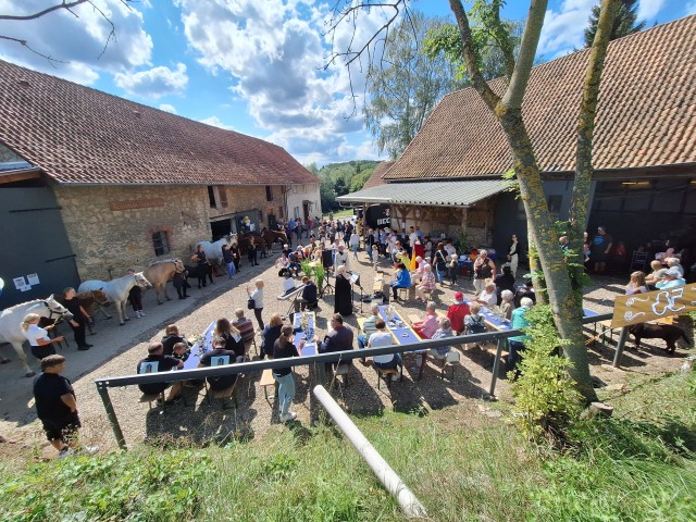 Impressionen von der Andacht zum Reitstalljubiläum mit Pferdesegnung