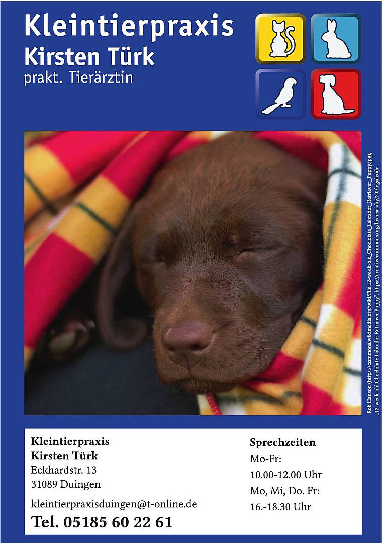 Gemeindebrief Juni - August 2025